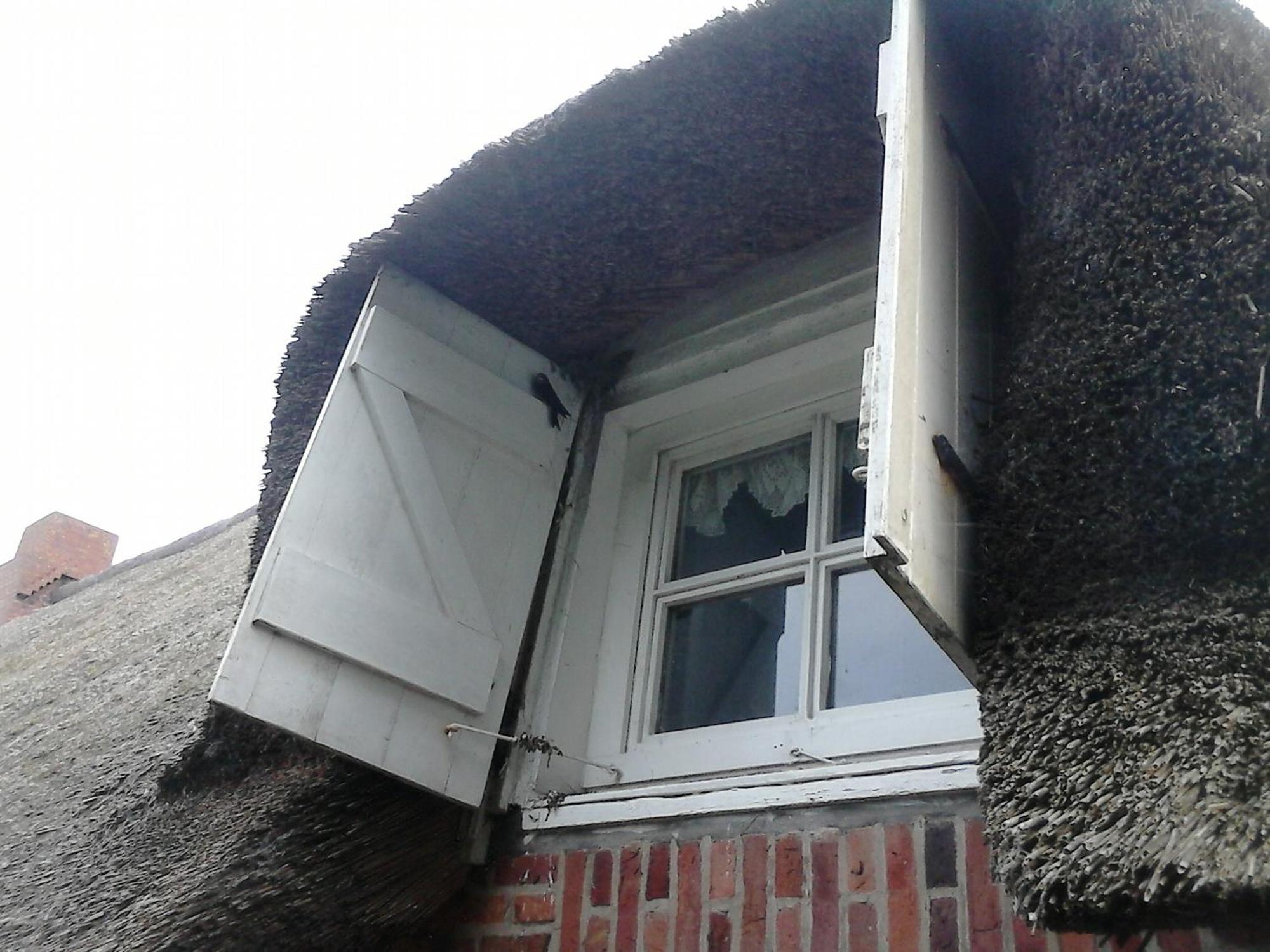 Friesenhaus Am Meer Dagebüll Kültér fotó